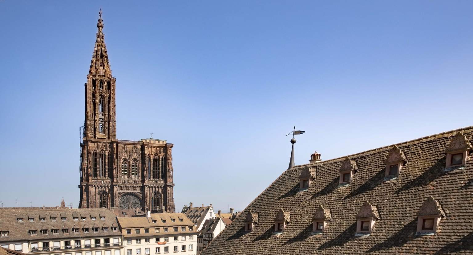 cathédrale strasbourg